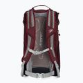Lowe Alpine AirZone Active 18 л туристическа раница бордо FTF-19-DEH-18 3
