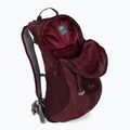 Lowe Alpine AirZone Active 18 л туристическа раница бордо FTF-19-DEH-18 4