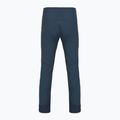 Мъжки панталони Rab Ascendor tempest blue 2