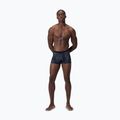 Мъжки боксерки за плуване Speedo Valmilton monument 6