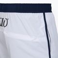 Speedo Jetstream Retro Logo Volley 16" бели къси панталони за плуване за мъже 4