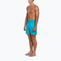 Мъжки къси панталони за плуване Nike Swim Breaker 7" Volley dusty cactus 2