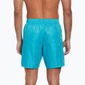 Мъжки къси панталони за плуване Nike Swim Breaker 7" Volley dusty cactus 3