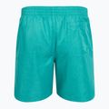 Мъжки къси панталони за плуване Nike Swim Breaker 7" Volley dusty cactus 2