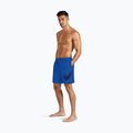 Мъжки бански шорти Nike Specs 7“ Volley blue crystal 2