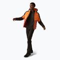 Мъжко пухено яке REGATTA Hooded Dalent fox/red ochre 2