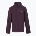 Детски суитшърт REGATTA Hot Shot II deep plum 5