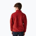 Детски суитшърт REGATTA Junior Frankie Full Zip red ochre 3