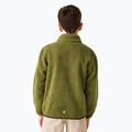 Детски суитшърт REGATTA Junior Frankie Full Zip nephrite green 3