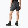 Дамски шорти за трекинг REGATTA Chaska III seal grey 3