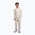 Детски суитшърт New Balance Brush Back Small Logo Crew timberwolf 2