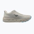 Мъжки обувки за бягане  Mizuno Wave Horizon 9 foggy dew/dark slate/blue jewel 2