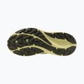 Дамски обувки за бягане Mizuno Neo Lumina sea spray/mentholated/beechnut 4
