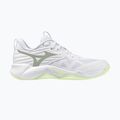 Дамски обувки за волейбол Mizuno Wave Momentum Pro white/aqua gray/ambrosia