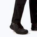 Мъжки панталони за трекинг Berghaus Skelbo black 6