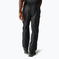 Мъжки панталони за трекинг REGATTA Active black 3