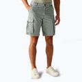 Мъжки шорти за трекинг REGATTA Shorebay II storm grey
