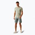 Мъжки шорти за трекинг REGATTA Shorebay II storm grey 2