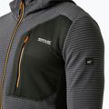 Мъжки суитшърт REGATTA Lakewright ash/black 4