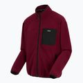 Мъжки поларен суитшърт REGATTA Frankie Full Zip dark maroon 8