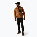 Мъжки поларен суитшърт REGATTA Frankie Half Zip brown 2