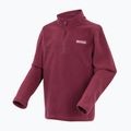 Детски поларен суитшърт REGATTA Hot Shot II dark pimento 3