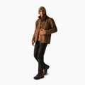 Мъжко softshell яке REGATTA Matt II nut brown 2