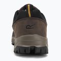 Мъжки обувки за трекинг REGATTA Blake Low peat/wood 6