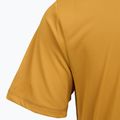 Мъжка трекинг тениска REGATTA Mindoi Anti Insect wood brown 4