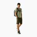 Мъжка тениска за трекинг REGATTA Fingal Stretch light sage 2