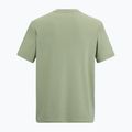 Мъжка тениска за трекинг REGATTA Fingal Stretch light sage 6