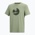 Мъжка тениска за трекинг REGATTA Fingal Stretch light sage 7