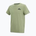 Мъжка тениска за трекинг REGATTA Breezed light sage 7