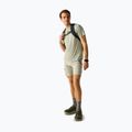 Мъжка тениска за трекинг REGATTA Fingal Edition light sage 2