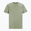 Мъжка тениска за трекинг REGATTA Fingal Edition light sage 5