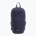 Градска раница REGATTA Everyday Prism 20 l night sky