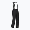 Мъжки скиорски панталони Dare 2b Achieve III Pant black 10