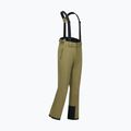 Мъжки скиорски панталони Dare 2b Achieve III Pant martini Olive 10