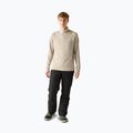 Мъжки суитшърт Dare 2b Fuse Up II Core Stretch white pepper 2
