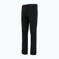 Мъжки софтшел панталони REGATTA Geo Softshell black 10
