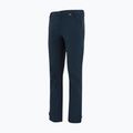 Мъжки софтшел панталони REGATTA Geo Softshell navy 9