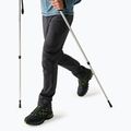 Мъжки софтшел панталони REGATTA Geo Softshell ash