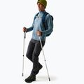 Мъжки софтшел панталони REGATTA Geo Softshell ash 2