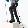 Мъжки софтшел панталони REGATTA Geo Softshell ash 3