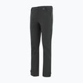 Мъжки софтшел панталони REGATTA Geo Softshell ash 9