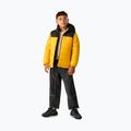 Детско ватирано яке REGATTA Lofthouse black/mustard 2