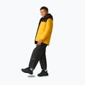 Детско ватирано яке REGATTA Lofthouse black/mustard 3