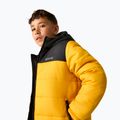 Детско ватирано яке REGATTA Lofthouse black/mustard 6