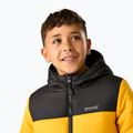Детско ватирано яке REGATTA Lofthouse black/mustard 7
