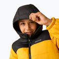 Детско ватирано яке REGATTA Lofthouse black/mustard 8